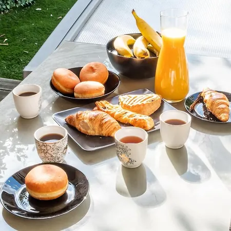 Spacieuse Dans Avec Piscine Et Bbq トゥールーズ